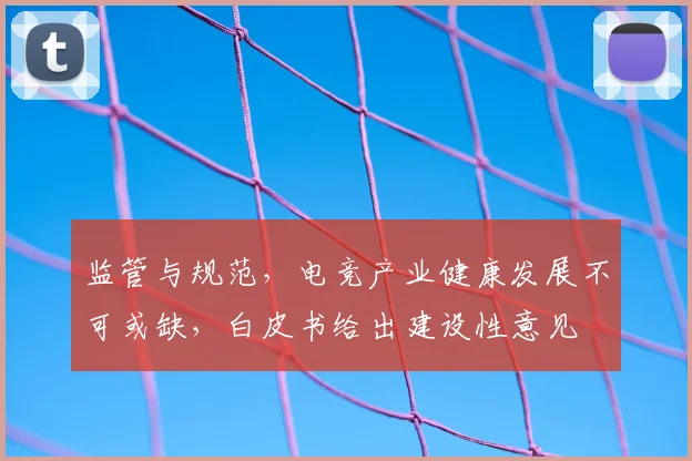 监管与规范，电竞产业健康发展不可或缺，白皮书给出建设性意见